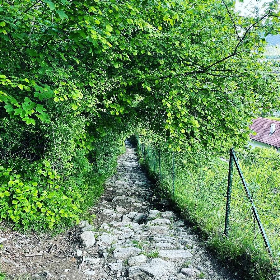Ferienwohnung Daberer Obervellach Eksteriør bilde